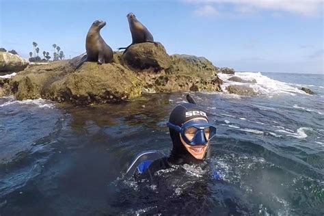 la jolla shores snorkeling tour.